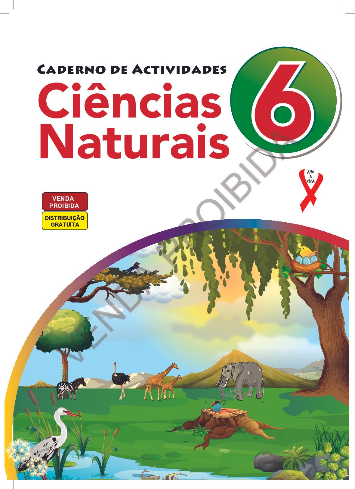 Ciências Naturais da 6ª Classe (Caderno de Actividades – Moçambique 2024) Baixar Livro em PDF
