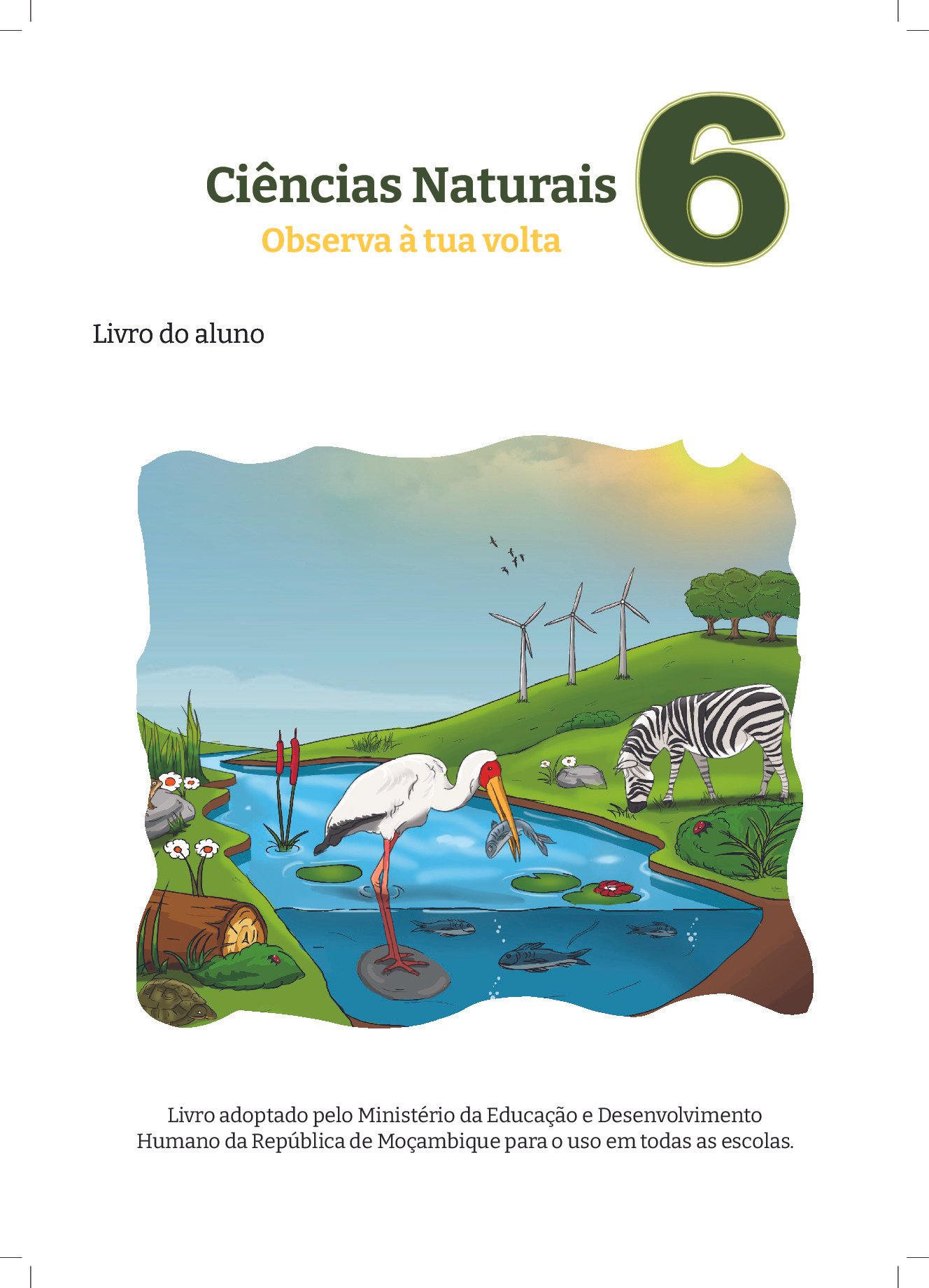 Ciências Naturais da 6ª Classe (MINEDH Moçambique 2024) Baixar Livro em PDF