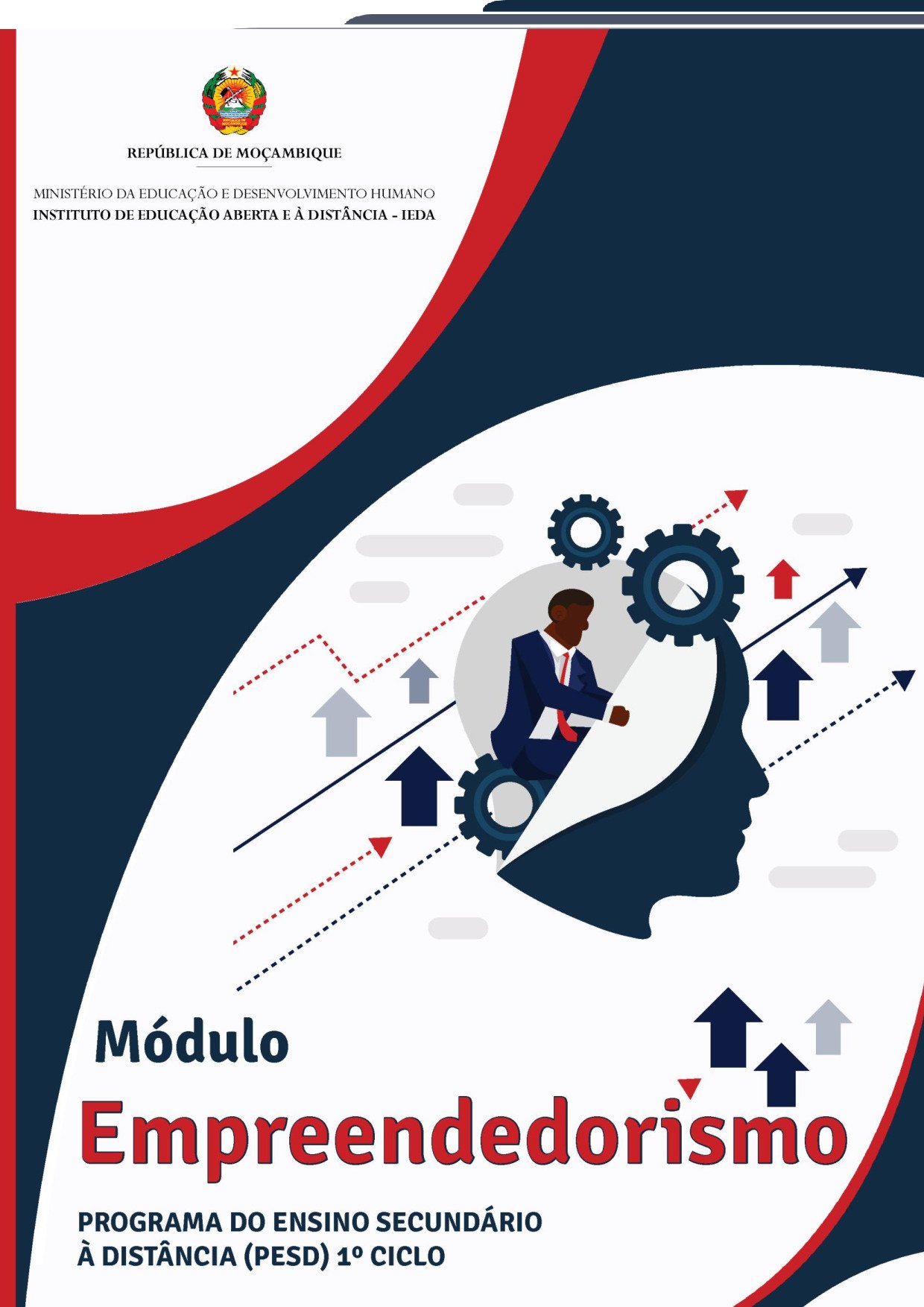 Empreendedorismo da 10ª Classe (Módulo do PESD 1 - IEDA Moçambique 2017) Baixar em PDF